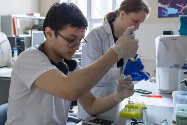 Как подготовиться школьнику к выбору профессии?