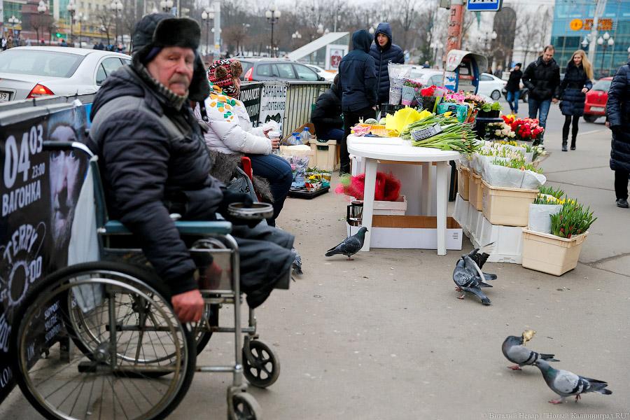 Кругом Голландия: сколько стоят цветы в центре Калининграда