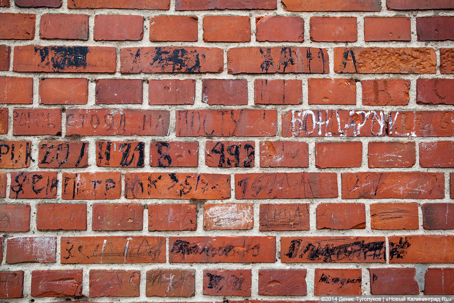 Фото: Денис Туголуков / Новый Калининград