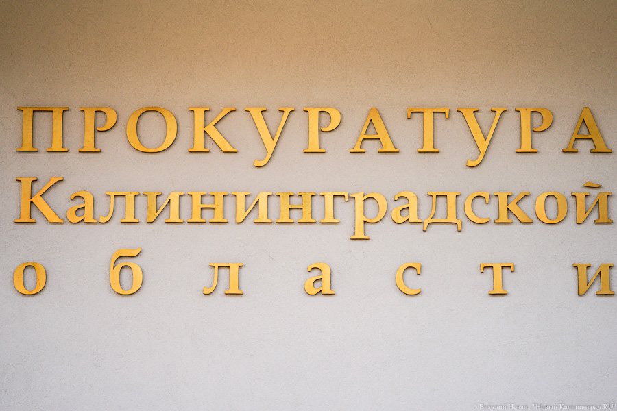 Под Зеленоградском мужчина расстрелял соседскую собаку из пневматической винтовки