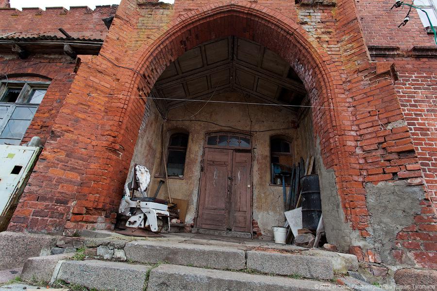 «Шаакен, волонтеры и кот Воровай»: фоторепортаж «Нового Калининграда.Ru»