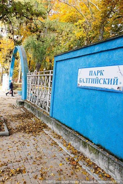 Днём совсем не страшно: осенний Балтийский парк