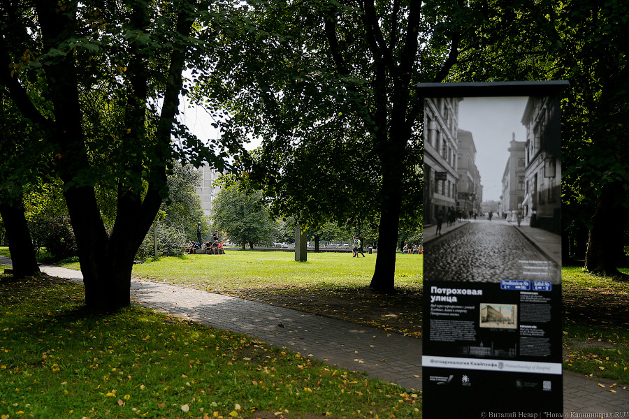 Прогулки по Кнайпхофу: о чём рассказывают новые стенды на острове Канта