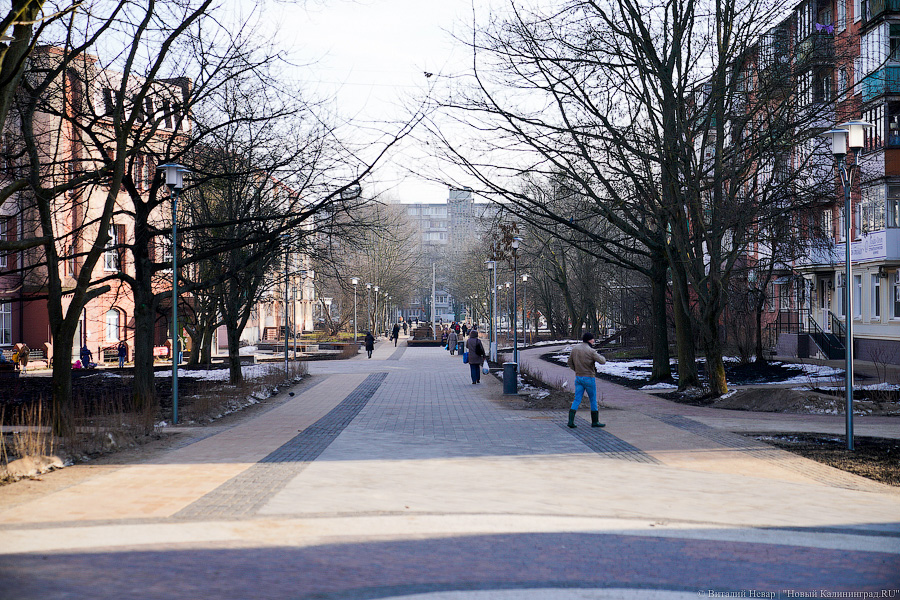 Как выглядит обновленная пешеходная зона на улице Рокоссовского без снега (фото)