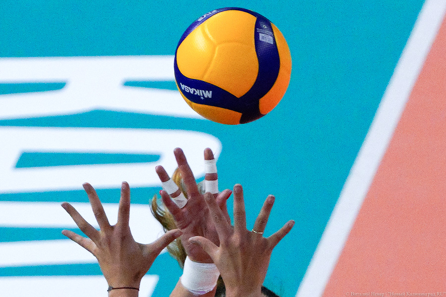 Сборная и 3 сильнейших клуба: волейбольный турнир на Кубок губернатора в «Янтарном»