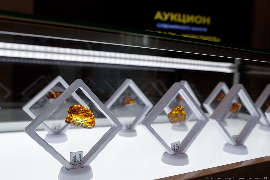 Янтарная козявка: чем закончились первые в Калининграде торги по инклюзам (фото)