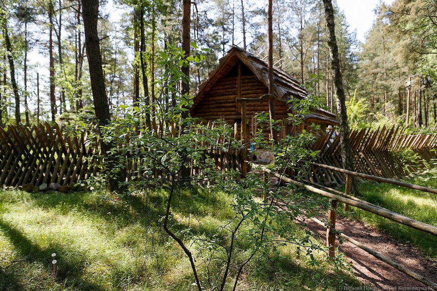 Олаф и его хирд: деревня викингов на Куршской косе стала обитаемой