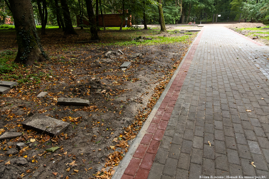 В Калининграде начали благоустраивать старое еврейское кладбище (фото)