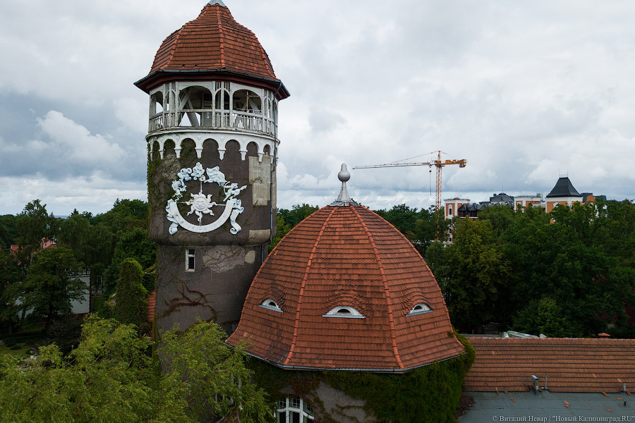 «Библио-Глобус» отказался от проекта по строительству отеля в Светлогорске