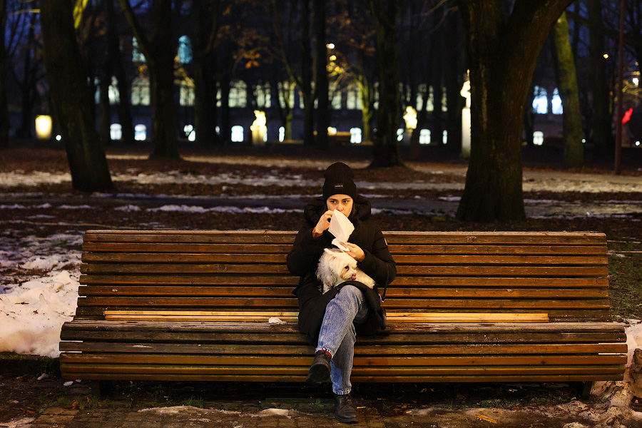 Гастрономическая шаурма и другие: на острове Канта открылась новогодняя ярмарка (фото)