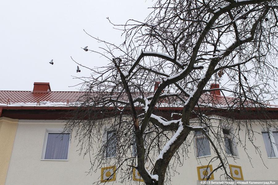 «Ревизия недоделок»: мэрия Калининграда проверила отремонтированные дома
