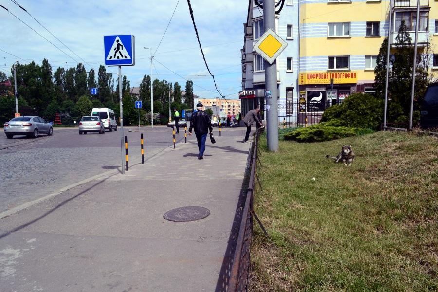 Как я теперь вожу: калининградцы привыкают к одностороннему Ленинскому