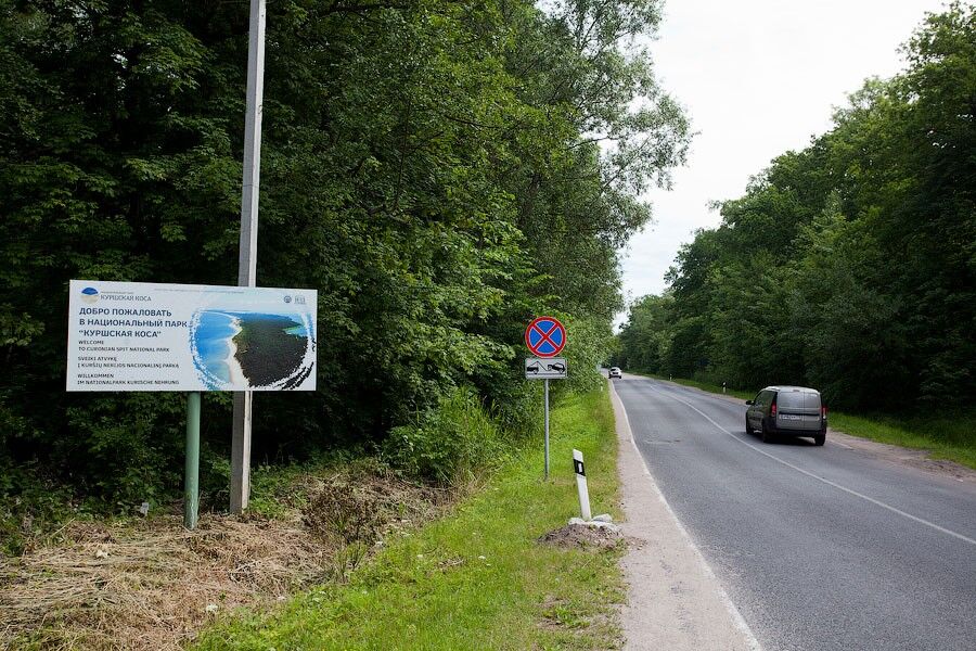 Из Калининграда запускают автобусы на Куршскую косу