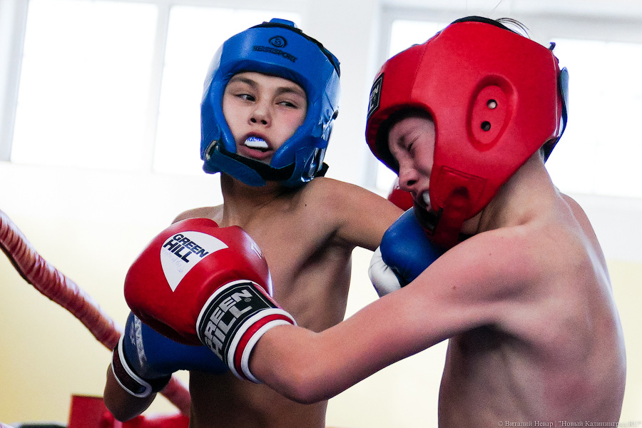 «Ударный» день: в Калининграде прошел чемпионат области по кикбоксингу