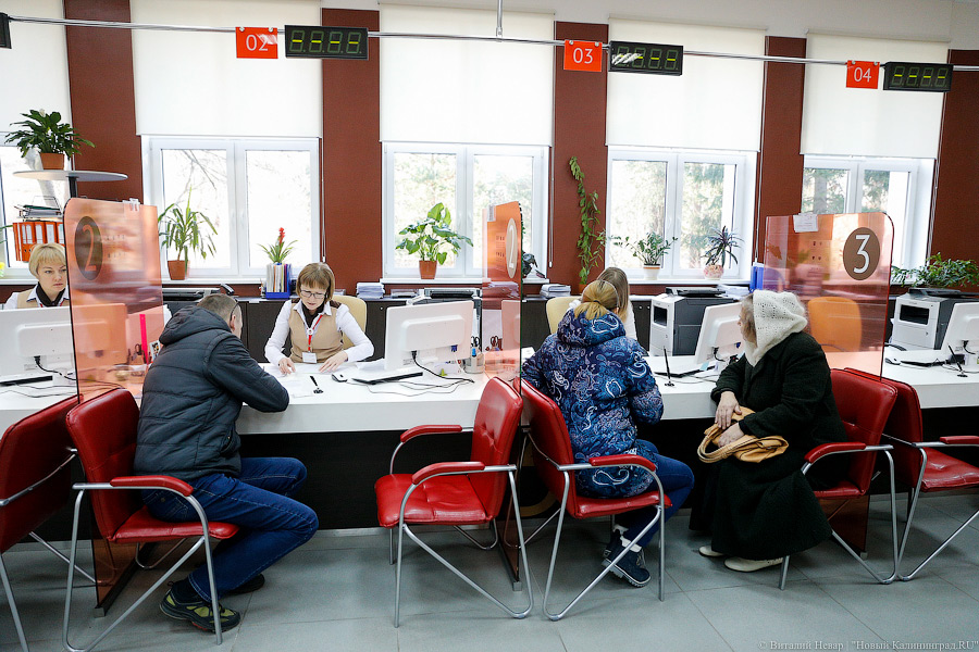 В Калининградской области запустили региональный портал госуслуг 