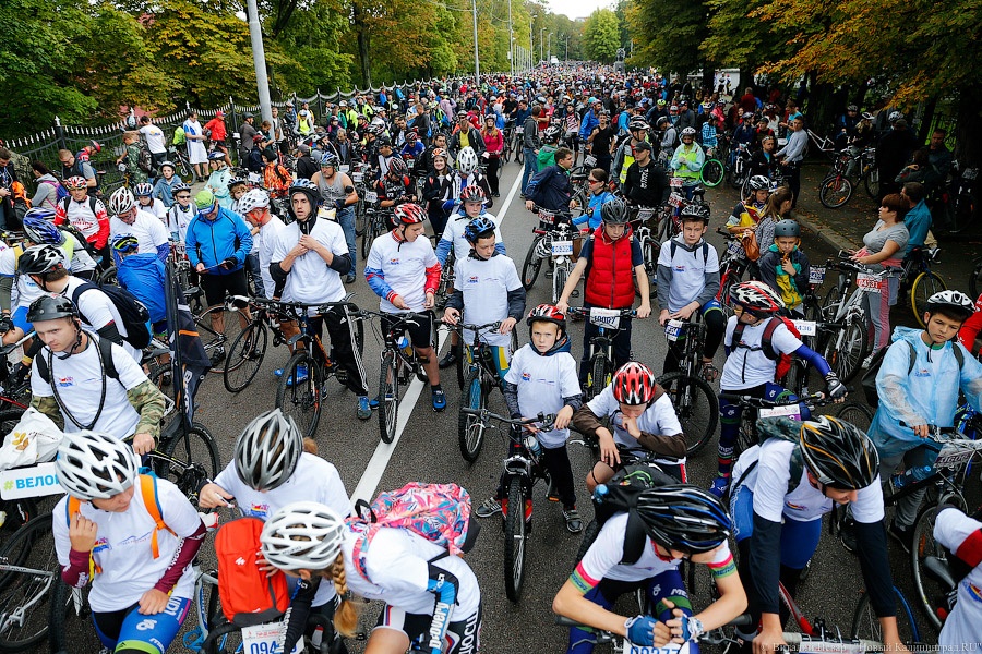 Тур до Кранца: как в Калининграде финишировал велосезон