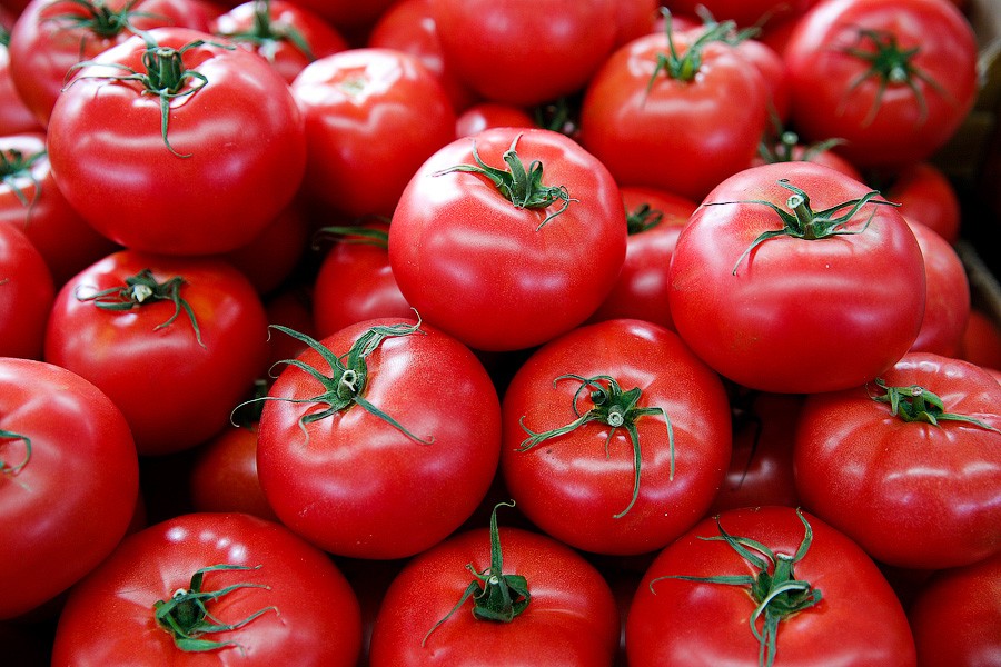 СМИ рассказали, как запрещенные турецкие помидоры попадают в российские магазины 