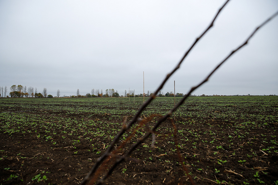 Фото — Виталий Невар, «Новый Калининград.Ru»