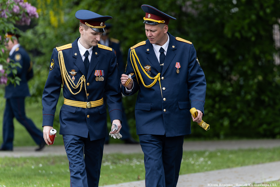 Вино из одуванчиков: изнанка генеральной репетиции парада в Калининграде (фото)