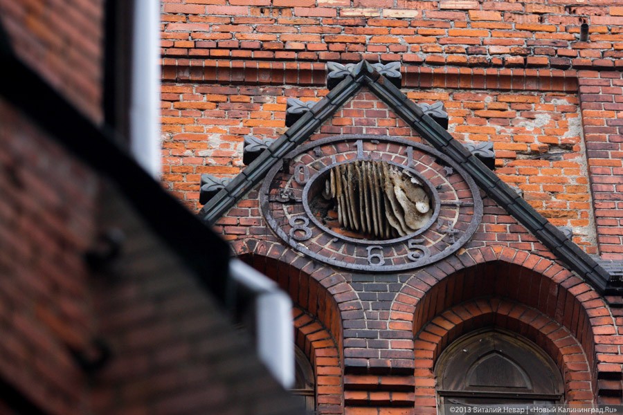 Фото — Виталий Невар, «Новый Калининград»