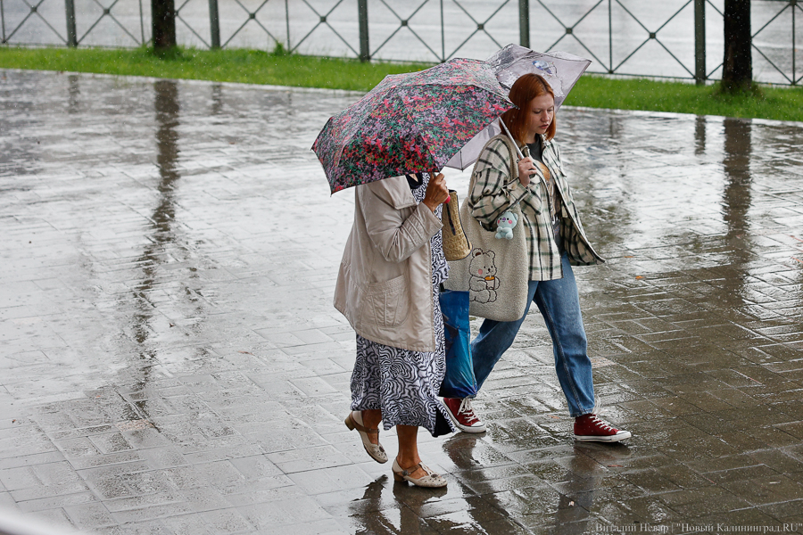 Тепло и, наконец, немного дождливо: прогноз погоды на предстоящую неделю
