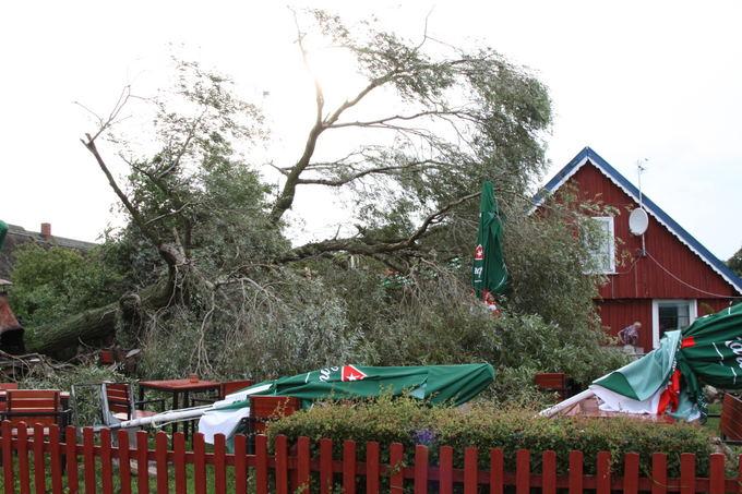 Шторм в Литве: на пляже Ниды ветер поднял в воздух коляску с ребенком (фото)