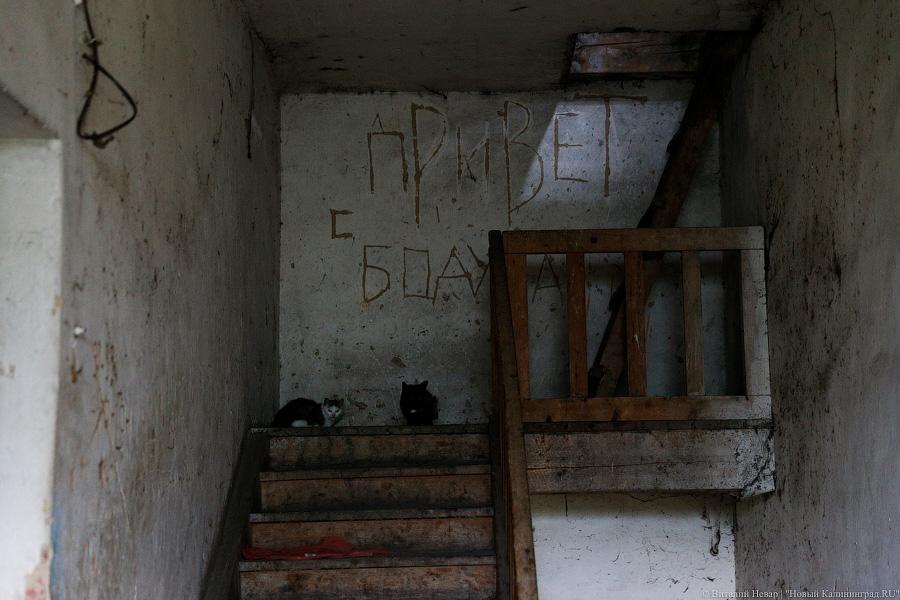 Чук и усадьба: пенсионеры выживают в полузаброшенном доме Правдинского района