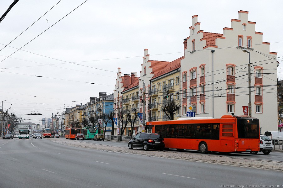 Фото — Виталий Невар, «Новый Калининград»
