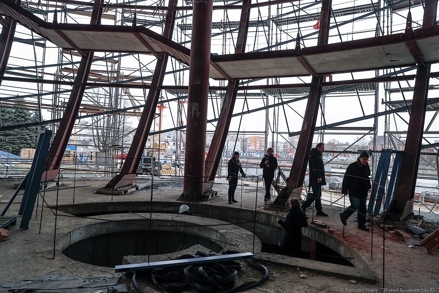 Облако планктона: в Музее Мирового океана готовят выставку актуального искусства