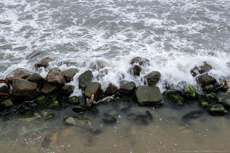 Время собирать камни: как восстанавливают берег у резиденции в Пионерском (фото)