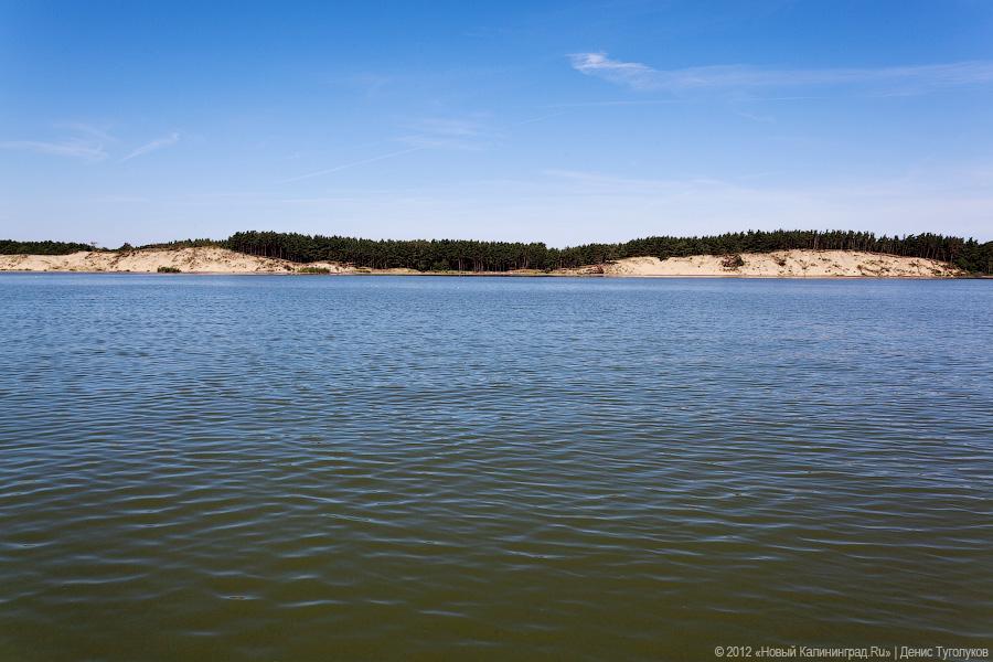 Фото — Денис Туголуков, «Новый Калининград.Ru»