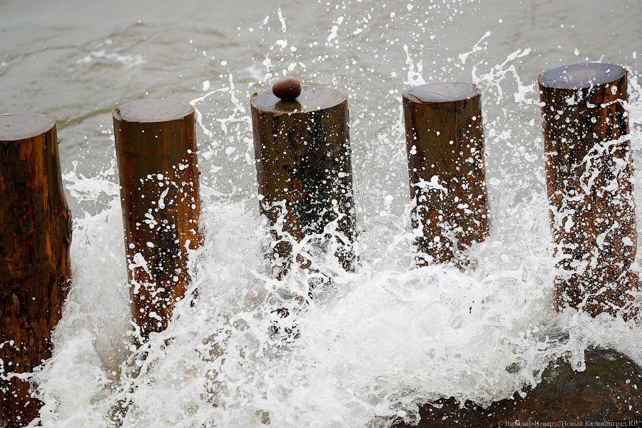 Много лиственницы и чуть песка: как выглядит светлогорский «пляж»  