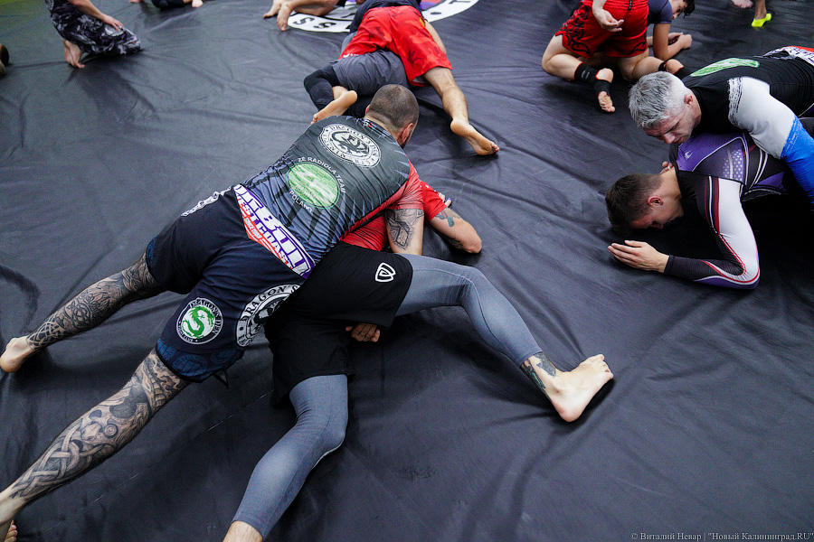 Крёстный отец смешанных единоборств: Джефф Монсон дал мастер-класс в Калининграде (фото)