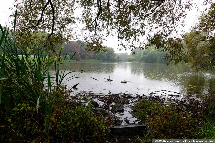Власти Калининграда предлагают выбрать имя для прудов в Южном парке