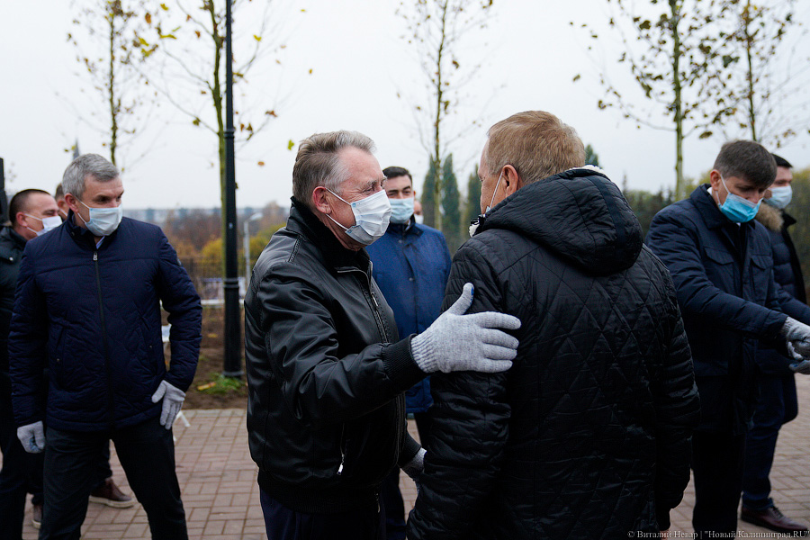 «Платанические» отношения: чиновники и бизнесмены посадили аллею у Дома Советов (фото)