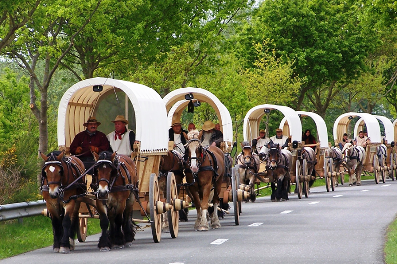 Фото предоставлено организаторами