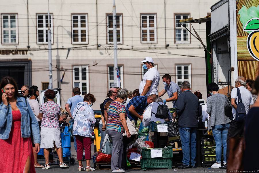 Базар-вокзал: как проходит сельхозярмарка на площади Победы в Калининграде