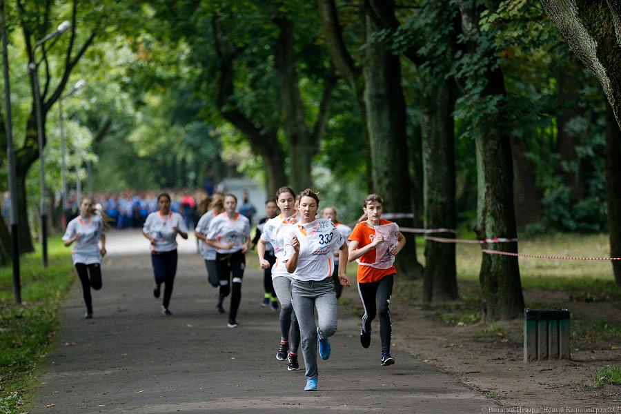 Все бежали, и я побежал: как прошел «Кросс наций» в Калининграде (фото)