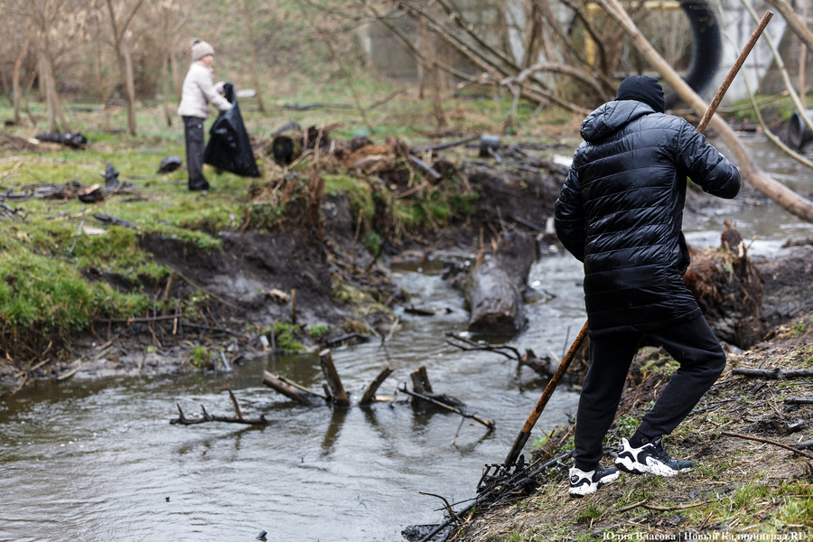 «Коммунальный Новый год»: как в Калининграде прошёл общегородской субботник