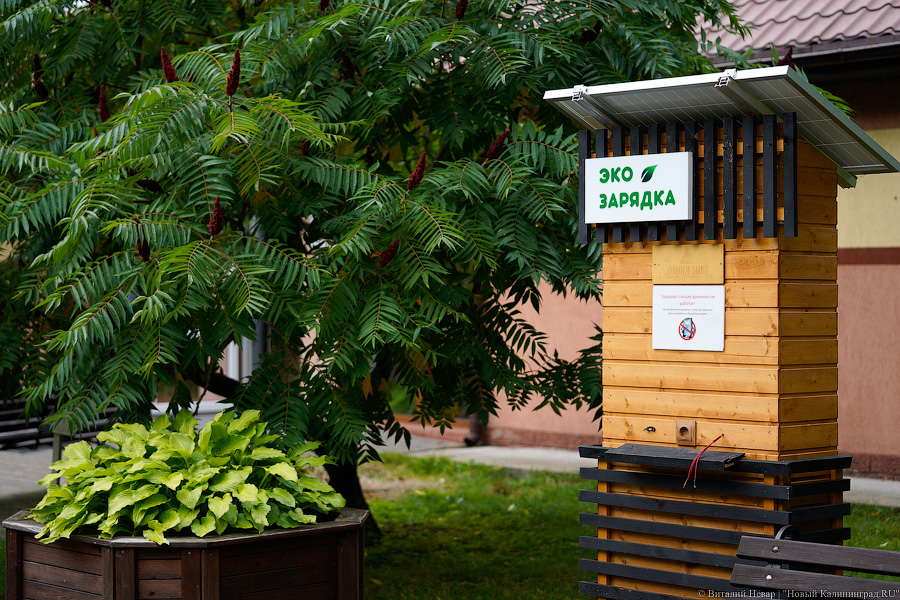 Жаба, гадюка и другие: в зоопарке открылся террариум после ремонта (фото)