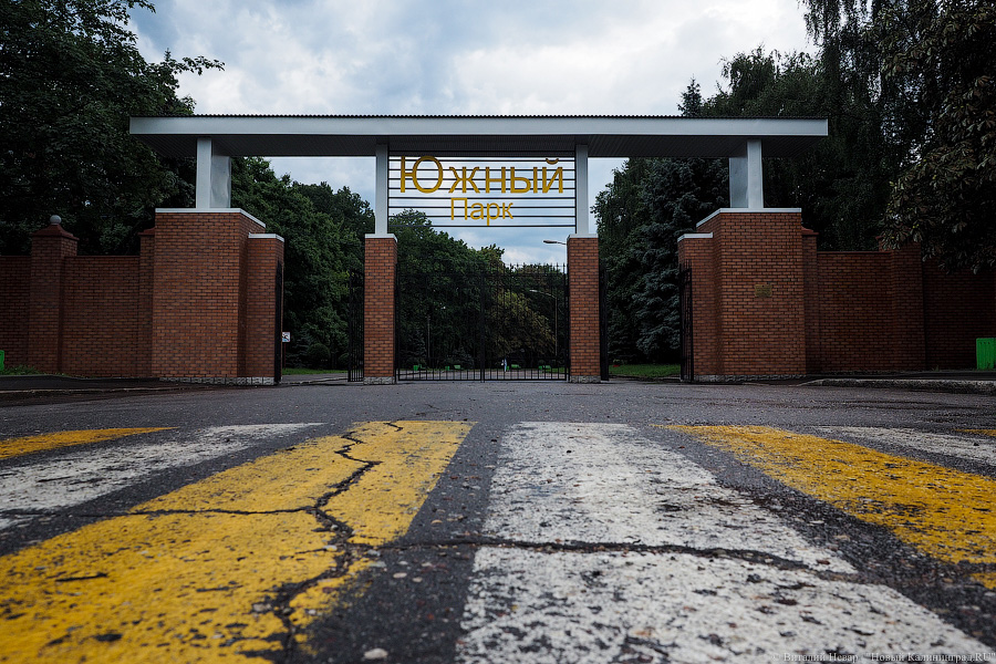 Калининградцам предлагают пройти медобследование в городских парках