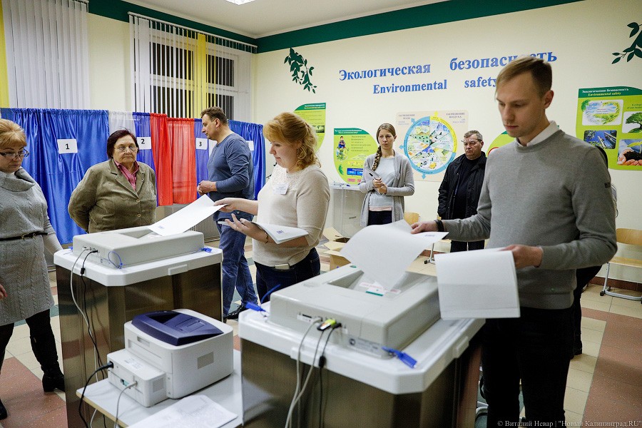 Легитимизируя данность: как в Калининграде проходил подсчет голосов (фото)