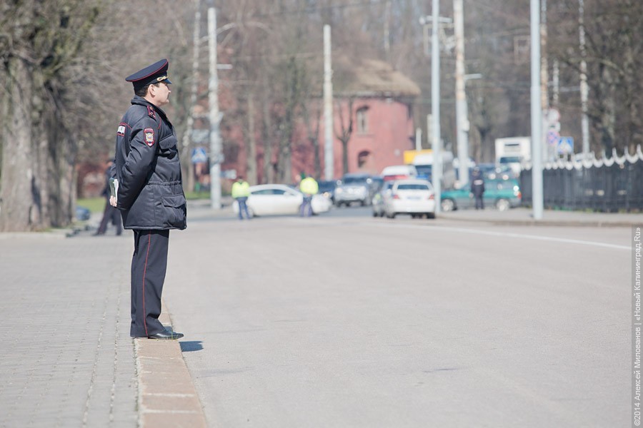 Калининградская полиция попросила студентов помочь в общении с иностранцами во время ЧМ-2018