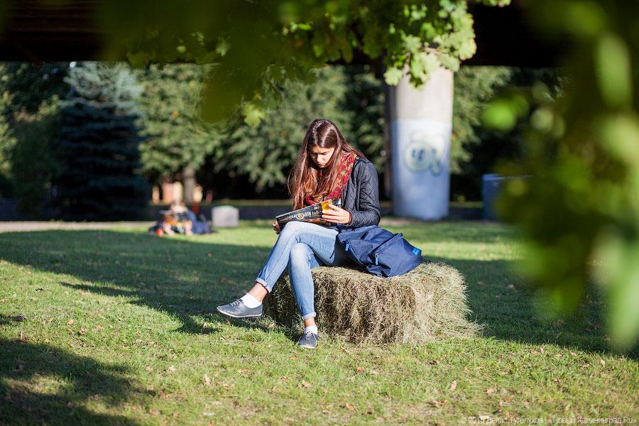 Кант был бы сыт: на острове стартовал «Street Food Weekend-2015»