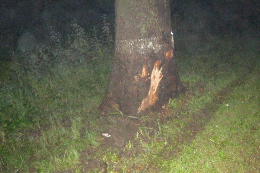 На Мамоновском шоссе «Ауди» врезалась в машину и дерево, у пассажирки разбито лицо (фото)