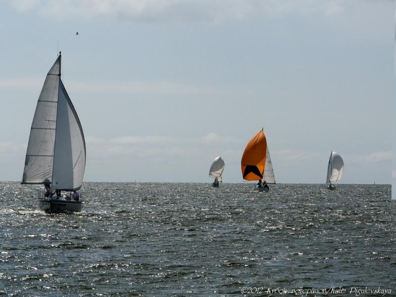 «Кубок ветеранов»: фоторепортаж с парусной регаты