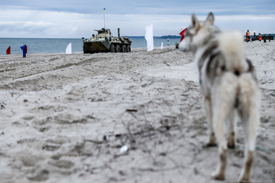 Море стрельб: как команды пяти стран в «Гонке преследования» соревновались