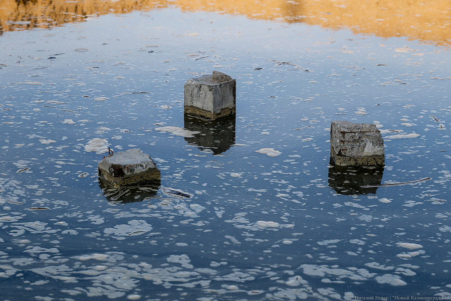 «Сделать общедоступными»: в Калининграде выявили 72 водоема, не включенных в Водный реестр
