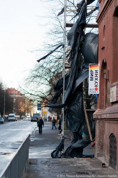 «А поутру они проснулись»: фоторепортаж «Нового Калининграда.Ru»