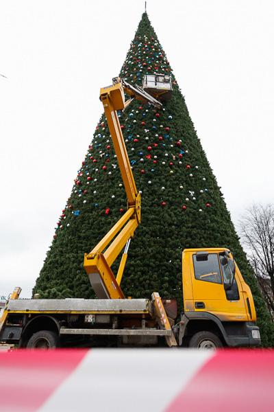 От каркаса до игрушки: в Калининграде собрали главную городскую елку